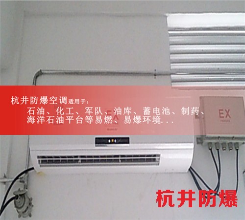 電站防爆空調(diào)機(jī)案例圖