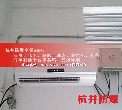 冷庫(kù)房防爆空調(diào)機(jī)案例圖